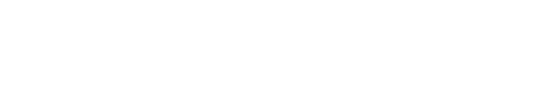 Binotto Group